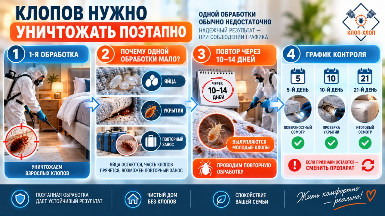 Повторная обработка от клопов